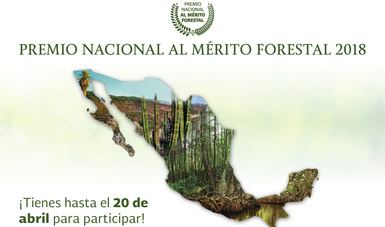 Invita CONAFOR a participar en el Premio Nacional al Mérito Forestal 2018