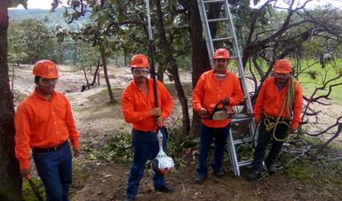 Destina CONAFOR 6.7 mdp para brigadas comunitarias de incendios y sanidad en Zacatecas