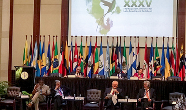 35 Periodo de Sesiones de la Conferencia Regional de la Organización de las Naciones Unidas para la Alimentación y la Agricultura (FAO) para América Latina y el Caribe.