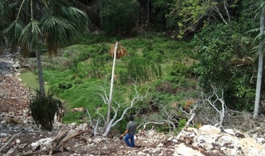 PROFEPA clausuró de manera total temporal el Rancho “Asideros” en Tizimín, Yucatán, por afectar un cenote mediante relleno del mismo con material pétreo, tierra y restos de vegetación; sin contar con la autorización correspondiente para tal efecto.