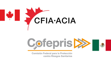 Canadá abre su mercado comercial a la exportación de moluscos bivalvos mexicanos: COFEPRIS