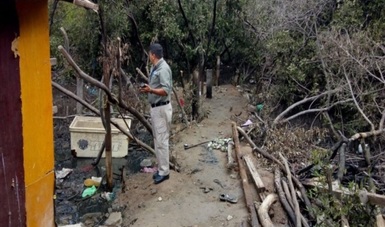 PROFEPA detecta construcciones rústicas (elaboradas con madera, lámina y tela) y un atracadero de embarcaciones menores, en siete predios de manglar en Mazatlán, Sinaloa. 