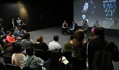Exposición digital sobre Björk vuelve en versión actualizada