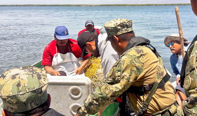 La Comisión Nacional de Acuacultura y Pesca (CONAPESCA) ha reforzado la vigilancia, con recorridos terrestres y acuáticos, así como puntos de revisión vehicular y visitas de inspección a establecimientos.