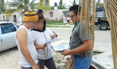 PROFEPA realizó visita de inspección en Ciudad Caucel, Municipio de Mérida, Yucatán, donde aseguró un ejemplar de mono araña (Ateles geoffroyi)