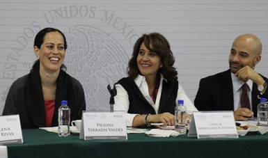 Titular del Indesol refrendo el compromiso del Estado Mexicano a fin de lograr los ODS