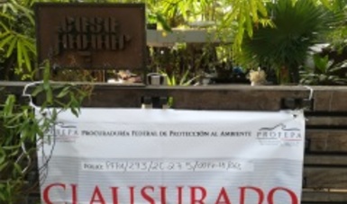 PROFEPA clausuró actividades de construcción en cinco desarrollos inmobiliarios en la zona hotelera de Tulum, Quintana Roo