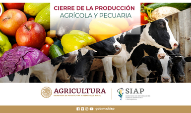 Da cuenta del desarrollo y resultado de la actividad agrícola y pecuaria de cada año.