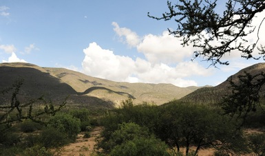 Valle de Tehuacán-Cuicatlán: hábitat originario de Mesoamérica, segundo sitio Mixto de México inscrito en la Lista del Patrimonio Mundial