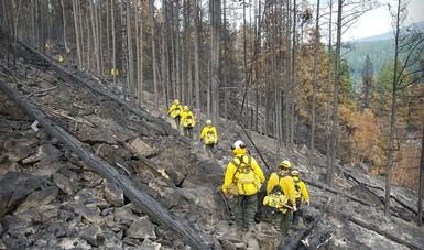 Combatientes de incendios forestales en caminata a la zona afectada 