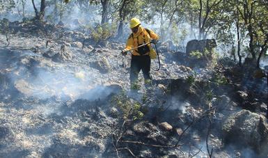 Combatiente de incendios forestales apagando fuego en zona afectada