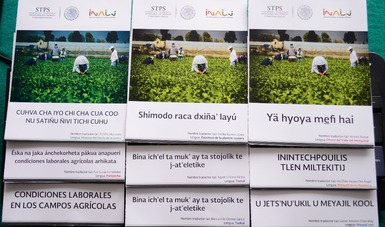 Trípticos de “Condiciones laborales en los campos agrícolas” traducidos a lenguas indígenas