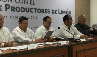 Consejo Estatal de Productores de Limón se reúnen en Colima