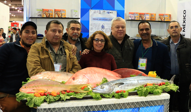 La Comisión Nacional de Acuacultura y Pesca (CONAPESCA) se reportó lista para participar, junto con los productores pesqueros y acuícolas de todo el país, en la tercera edición de la feria “México Alimentaria 2018 Food Show”.