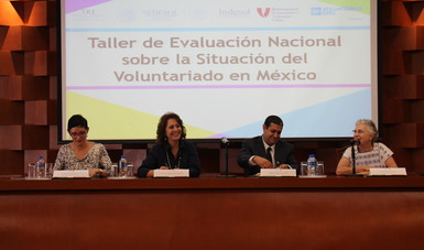 Titular del Indesol, asistió al taller de Evaluación Nacional sobre Voluntariado celebrado en la SRE 
