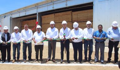 Invierte CONAFOR  1, 439 mdp en sector forestal de Oaxaca
