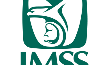 Logo IMSS.