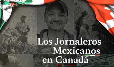 Portada del libro Los jornaleros mexicanos en Canadá, con imagen de jornaleros agrícolas