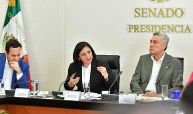 Secretaria de la Función Pública comparece ante Comisiones de Gobernación y Anticorrupción del Senado