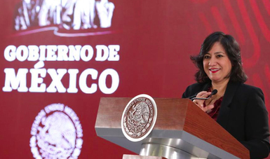 Secretaria de la Función Pública, Irma Eréndira Sandoval
