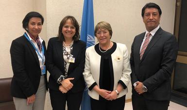 La subsecretaria para Asuntos Multilaterales y Derechos Humanos de la Secretaría de Relaciones Exteriores, Martha Delgado Peralta, se reunió el día de hoy con la alta comisionada de las Naciones Unidas para los Derechos Humanos, Michelle Bachelet