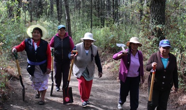 Mujeres apoyadas por el programa de Pagos por Servicios Ambientales en  Acxotla del Monte en Tlaxcala.