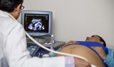 La Dra. Sandra Acevedo Gallegos, jefa del Departamento de Medicina Materno Fetal del INPer compartió que la especialidad del INPer es la “única en contar con el reconocimiento actualmente”.