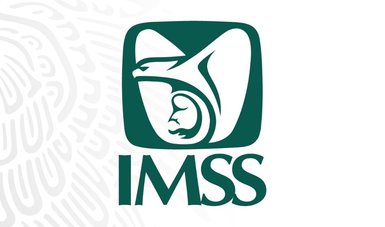 Logosímbolo IMSS.