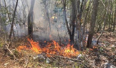 El Equipo Nacional de Manejo de Incidentes (ENMI), evaluó incendios forestales en el  sureste del país, como parte de un entrenamiento que tendrá una duración de dos semanas