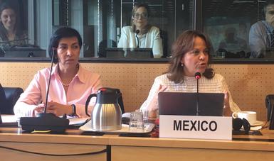 En Comité contra la tortura de la ONU, México reafirma su compromiso con la erradicación de esta práctica