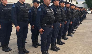 El Servicio de Protección Federal suma sus capacidades a las tareas de seguridad en Chiapas.