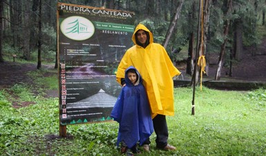 La preservación del Santuario de las Luciérnagas contribuye a una mayor  derrama económica en Tlaxcala | Secretaría de Turismo | Gobierno 