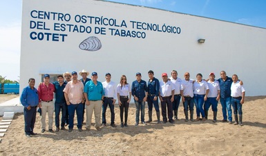 La Conapesca retomará el modelo exitoso de cultivo de Tabasco para potenciar en el territorio nacional la productividad del sector de los moluscos. 