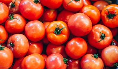 Acuerdo que suspende investigación anti-dumping contra exportadores mexicanos de tomate en Estados Unidos