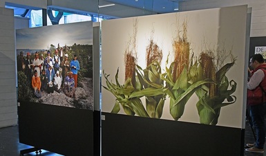De Saberes y Sabores es la segunda entrega de una serie de eventos bajo el mismo nombre. La exhibición, que se inauguró en la sede del CONACYT, se integra de material fotográfico de 13 artistas.