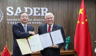  Confirma China interés de abrir mercado para aguacate de Jalisco, limón y diversos productos vegetales.