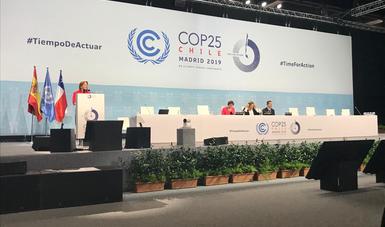 Reafirma México compromiso con la agenda ambiental ante la 25ª Conferencia de las Partes de Naciones Unidas en Madrid