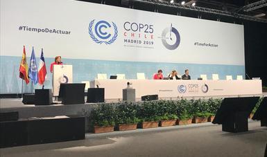 Mexico reaffirms commitment to environmental agenda at COP25