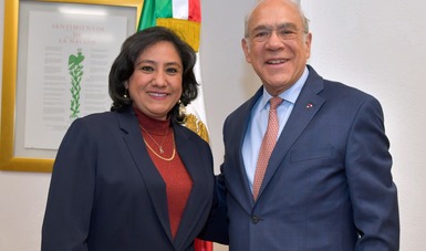 Ante el secretario general de la OCDE, destaca Irma Eréndira Sandoval logros de la estrategia anticorrupción implementada por México