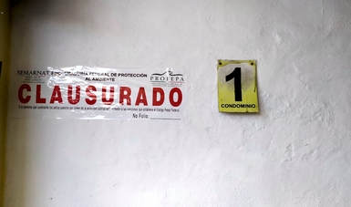 Clausura Profepa de manera definitiva proyecto de condominios en Manzanillo