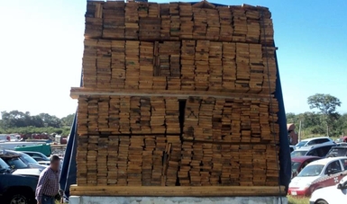  Asegura Profepa 87.8 metros cúbicos de madera y 88.4 toneladas de carbón vegetal en Campeche