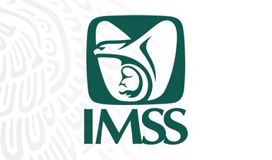 Logograma del IMSS