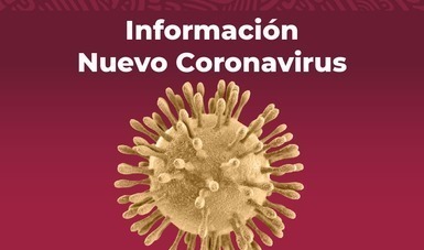 Imagen del virus coronavirus.