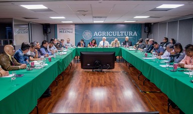 Unen esfuerzos Gobierno de México y productores para fortalecer la productividad de la caficultura nacional.
