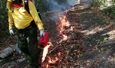 Combatiente de incendios forestales
