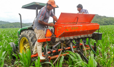 Por su relevancia para la agricultura mundial, la revista científica Agricultural Systems publicó un artículo en el que destaca los estudios realizados por investigadores del CIMMYT, relativos a los puntos de maquinaria del programa mexicano MasAgro.