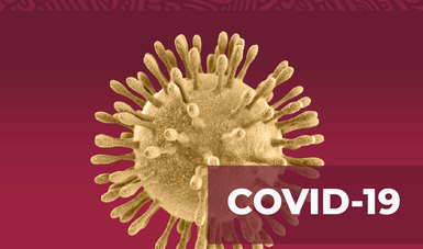 Imagen del virus COVID-19.