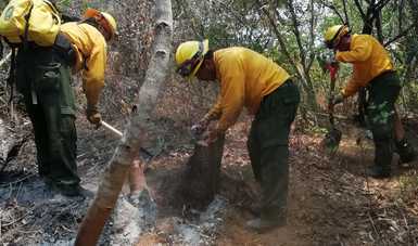 En Guerrero se realiza la Operación Ayotóchtli debido a que presenta un alto número de incendios forestales.