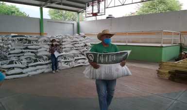 Reporta Agricultura avance del 56 por ciento en la entrega de fertilizantes en Guerrero