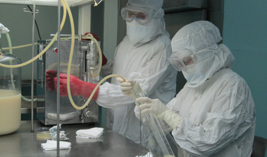 La Productora Nacional de Biológicos Veterinarios (Pronabive) distribuirá las vacunas.